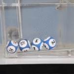 JACKPOT 4 : Tirage de 15h du 22 Novembre 2025